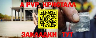 стаф Славгород